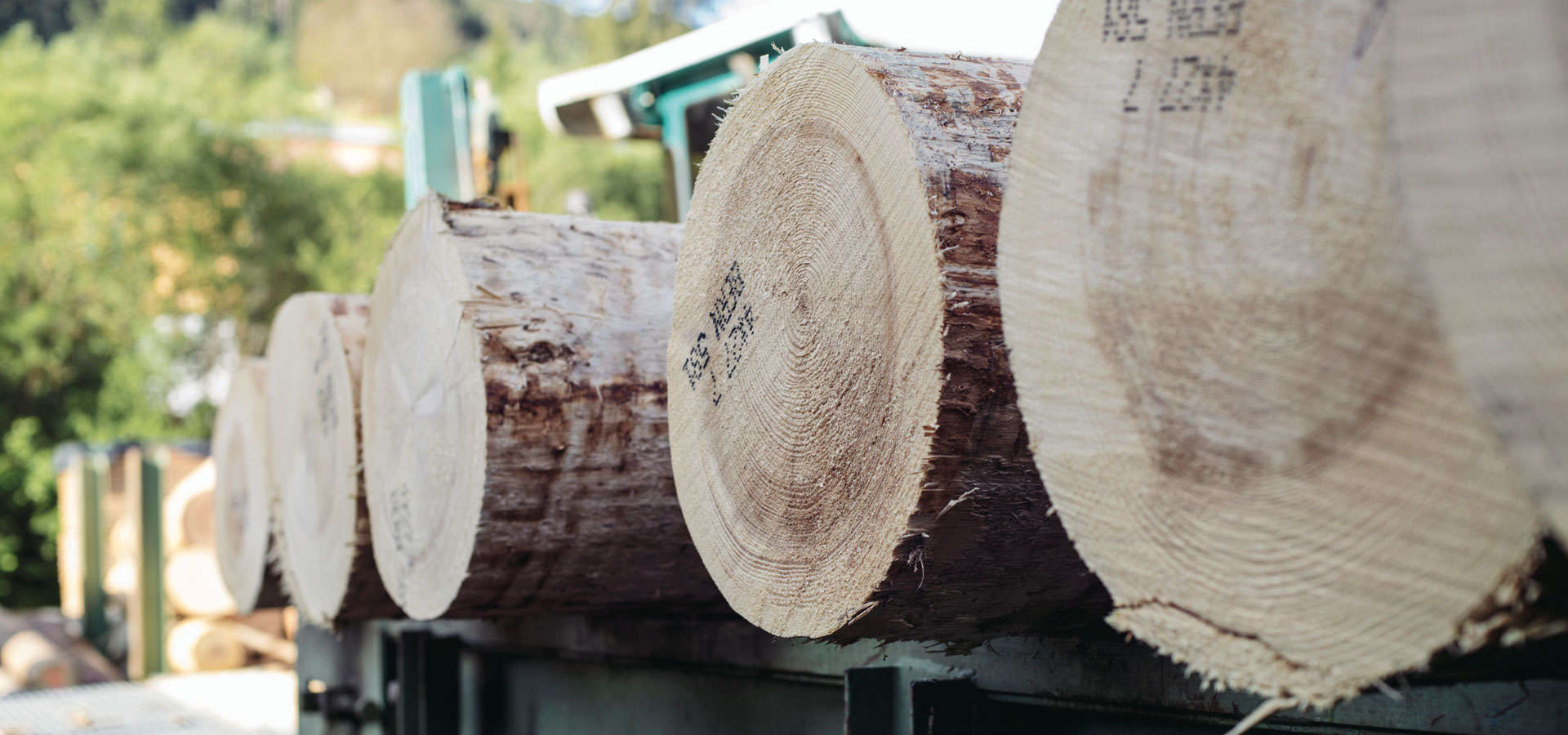 Sägewerk Holzwerk Rundholzeinkauf